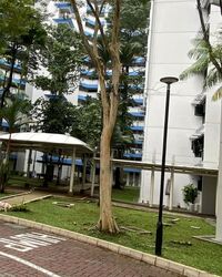Blk 207C Compassvale Crest (Sengkang), HDB 5 Rooms #544596211